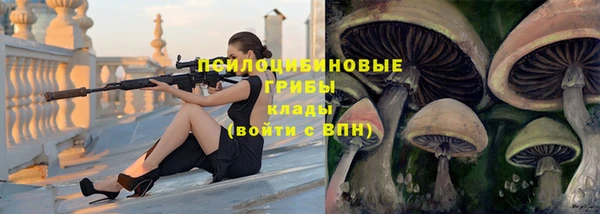 spice Алзамай