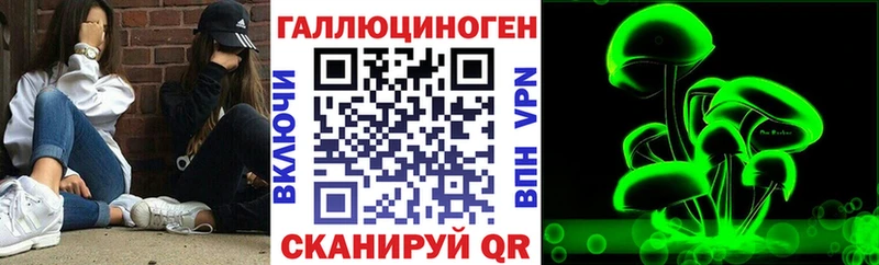 Псилоцибиновые грибы Psilocybine cubensis  Сураж 